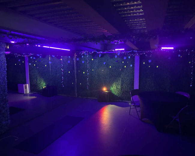 The image shows a dimly lit room with green foliage decorations on the walls and colorful lights illuminating the space.