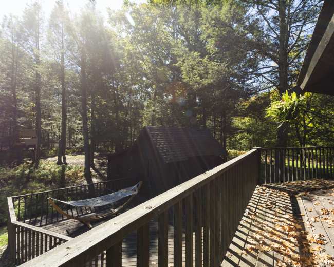 A wooden deck with a hammock overlooks a forested area filled with trees and sunlight.