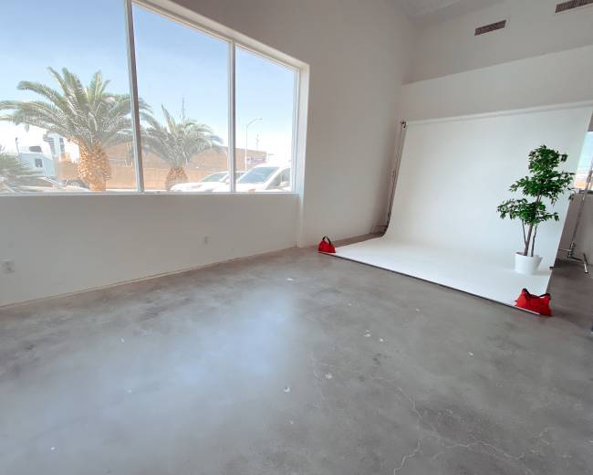 A spacious, empty interior with concrete flooring, large windows, and a white backdrop set up near a potted plant.
