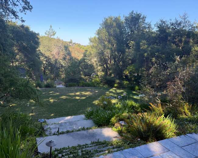 The image shows a landscaped garden with stone steps leading down to a grassy area, surrounded by trees and shrubs.
