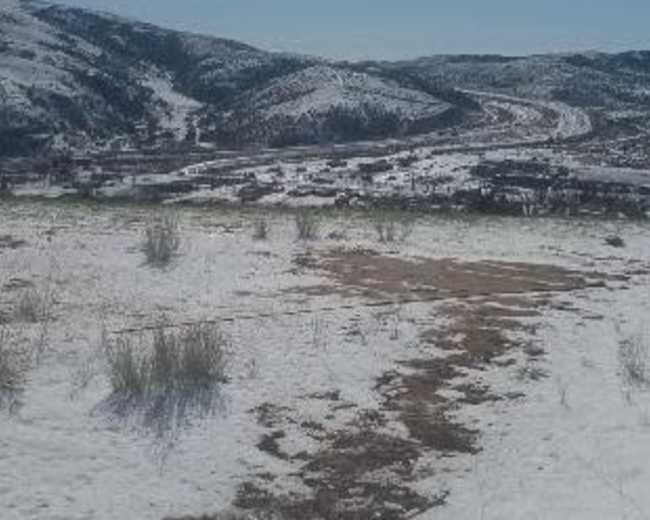 The image shows a snow-covered landscape with rolling hills and sparse vegetation under a clear blue sky.