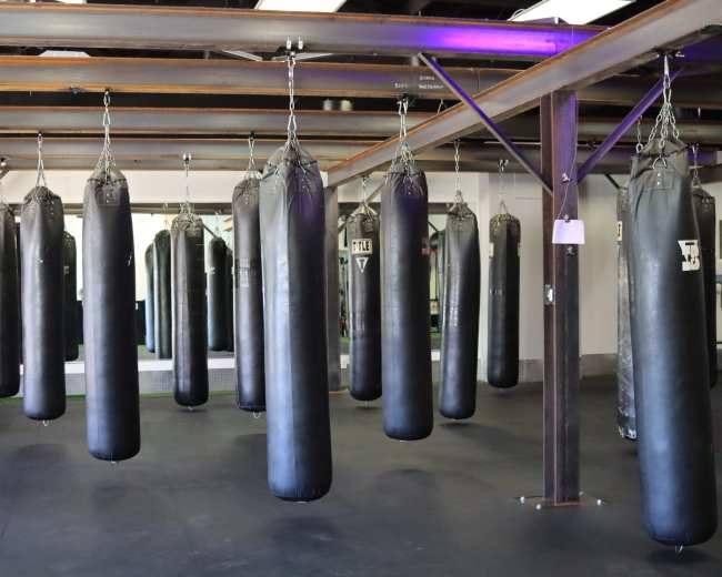 The image shows a gym space filled with numerous hanging black punching bags arranged in rows.