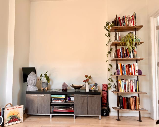 The image shows a well-organized living room corner featuring a wooden shelf with books, a cabinet with decorative items, and indoor plants.
