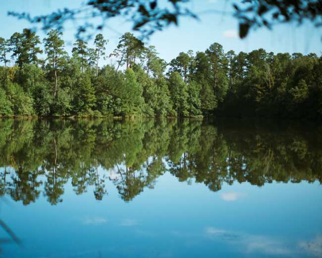 A calm lake reflects the trees and sky, creating a mirror-like surface.
