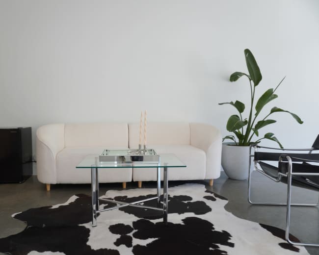 The image shows a modern living area with a white sofa, a glass coffee table, a black and white cowhide rug, and a potted plant.