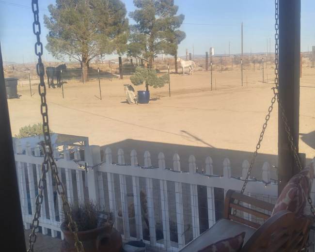 A porch swing is positioned in front of a view of a dusty landscape with sparse trees and a distant vehicle.