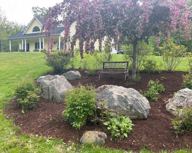 A wooden bench sits beneath a flowering tree in a landscaped garden with rocks and mulch surrounding it, alongside a yellow house in the background.