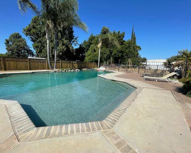 A swimming pool surrounded by a concrete deck, trees, and a playground area in a residential backyard.