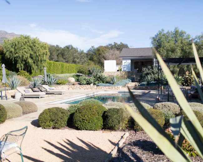 The image shows a landscaped garden with a pool, surrounded by various plants and seating areas.