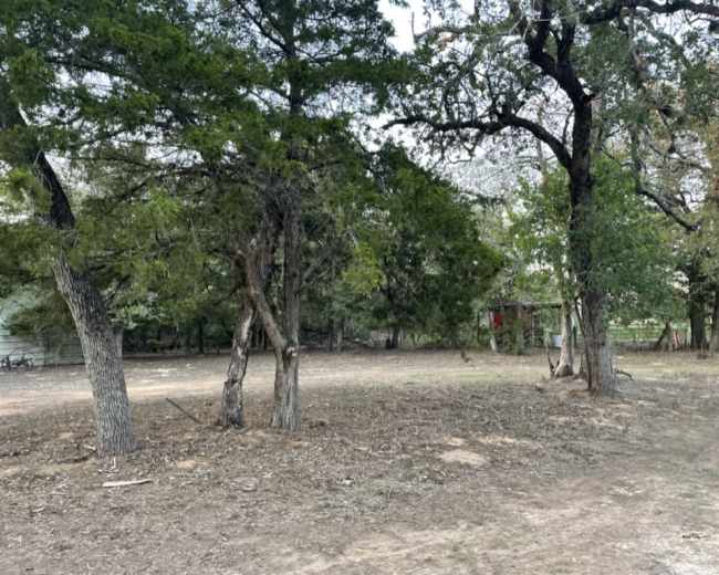 The image shows a cleared area of land with sparse vegetation, featuring several trees and a distant structure partially obscured by foliage.