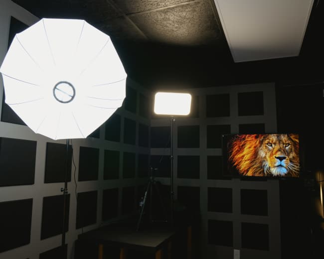 A photography studio with a large umbrella softbox light, a stand-mounted light, and a monitor displaying a lion's face against textured gray wall panels.
