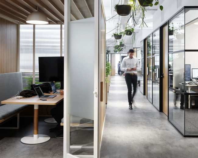 A modern office interior features glass-walled meeting rooms, wooden accents, and plants hanging from the ceiling, with employees engaged in work activities.