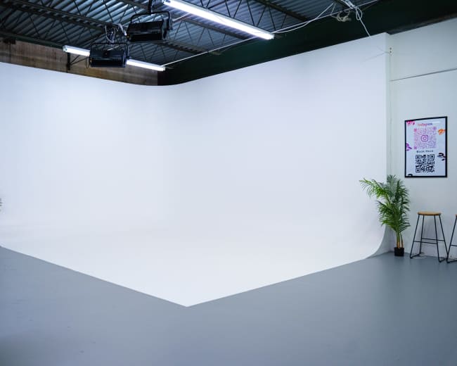 The image shows a clean, empty photography studio with a seamless white backdrop and a couple of potted plants in the corners.