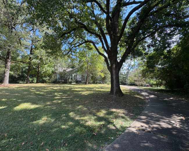 A house is situated on a grassy lot surrounded by trees, with a paved driveway leading up to it.
