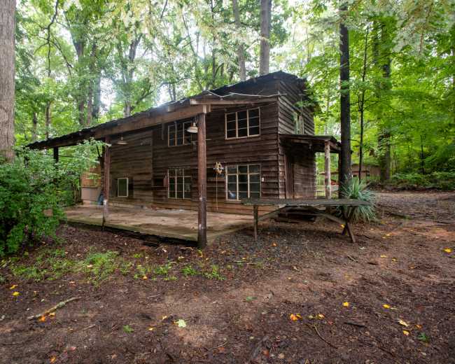 The image shows an abandoned wooden cabin surrounded by dense trees and overgrown vegetation.
