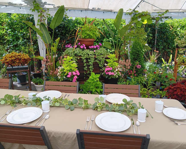 A table is elegantly set with plates and utensils under a tent surrounded by lush greenery and blooming flowers.