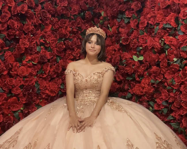 A young woman sits in front of a wall covered in red roses, wearing a lavish pink ball gown adorned with gold embroidery and a tiara.