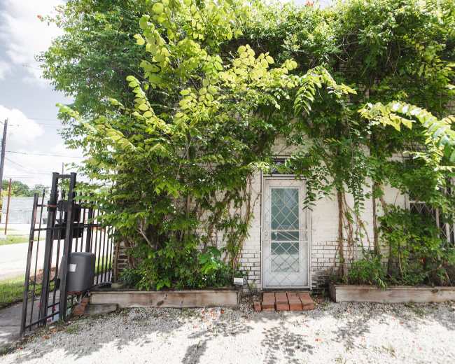 A partially overgrown door is framed by lush green foliage on a brick wall.