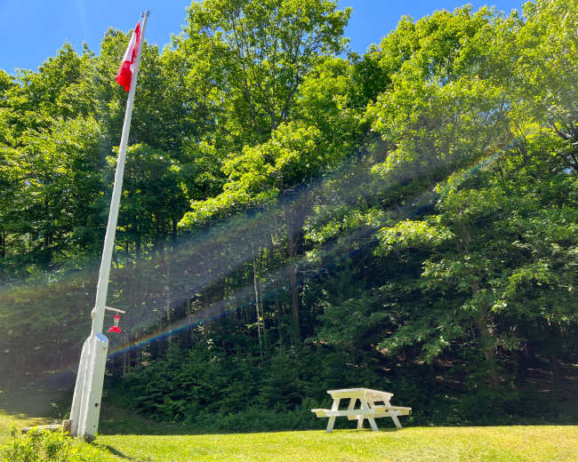 A Canadian flag flutters beside a white picnic table in a green forested area.