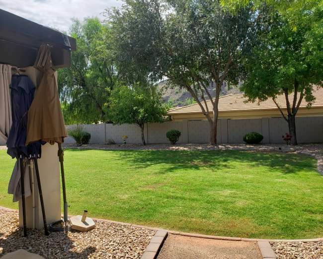 A well-maintained backyard features a green lawn bordered by trees and a stone pathway.