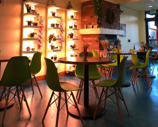 The image shows a brightly lit café interior with green chairs, wooden tables, and shelves displaying potted plants against a warm-toned wall.