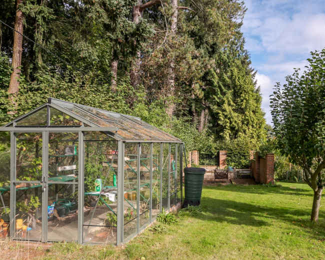 A greenhouse is situated in a grassy area surrounded by tall trees and a single tree, with a clear blue sky above.