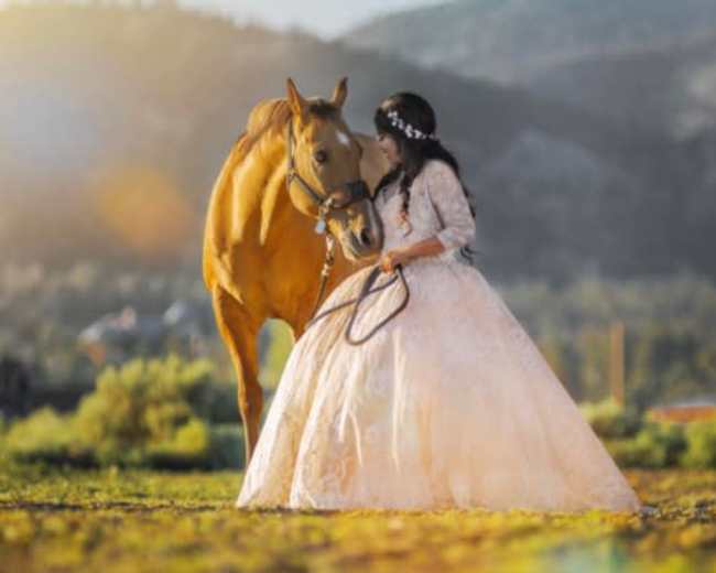 A woman in a white ball gown interacts with a horse in a rural landscape during golden hour.