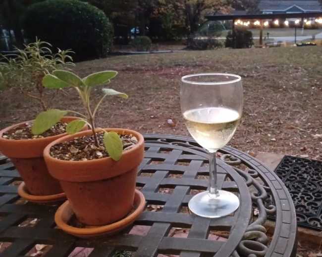 A glass of white wine sits on a table next to two potted plants, with a view of a well-maintained yard and distant lights in the background.