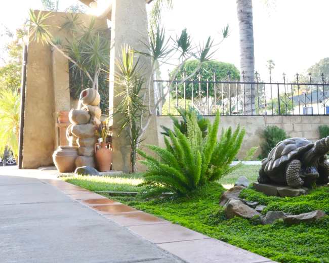 Two tortoises are positioned on a grassy area surrounded by various plants and decorative pottery in a landscaped yard.
