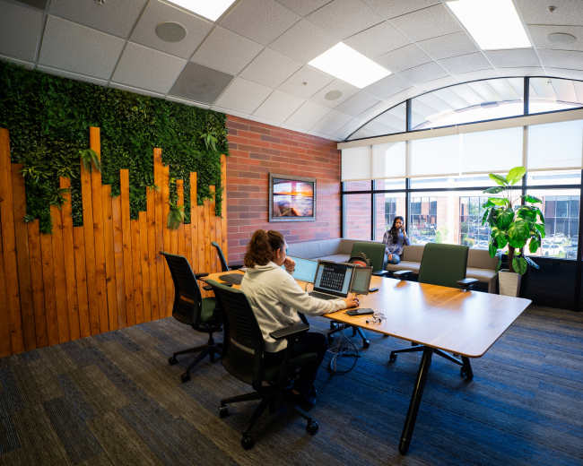 A person is seated at a table with a laptop in a modern conference room featuring a plant and large windows.