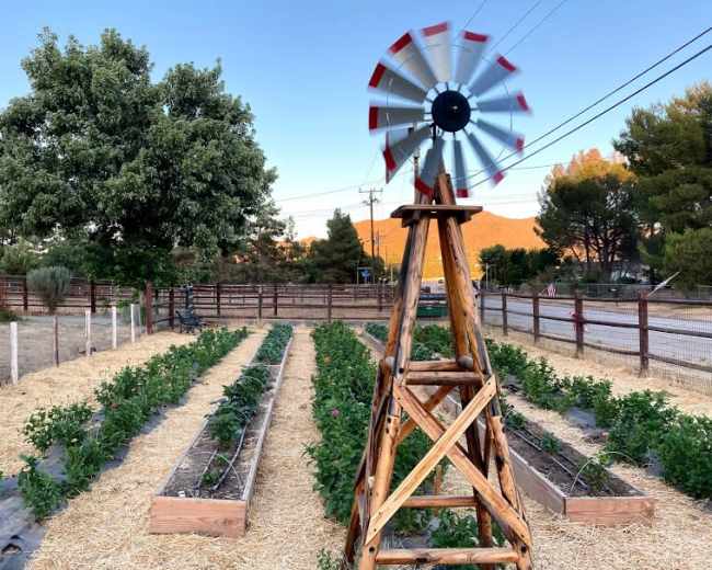 A wooden windmill stands in the center of a vegetable garden with rows of plants and a backdrop of trees and mountains under a clear sky.