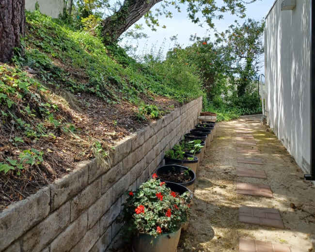 A stone pathway lined with potted flowers runs alongside a grassy hill under a tree.