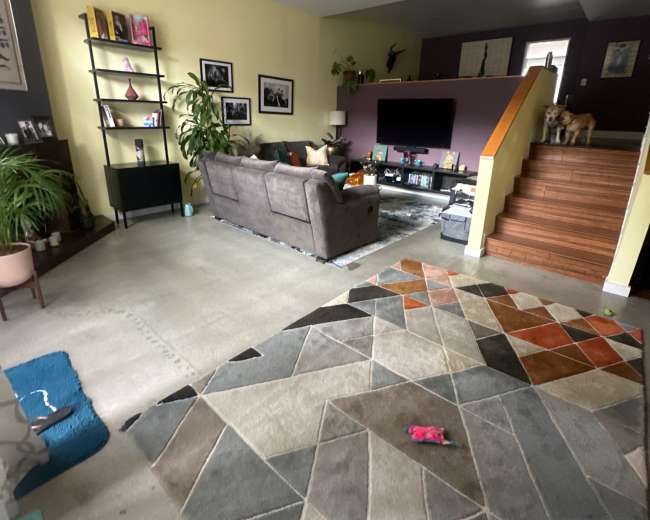 The image shows a living room with a gray couch, a colorful rug, a staircase leading to an upper level, and various plants and decorative items.