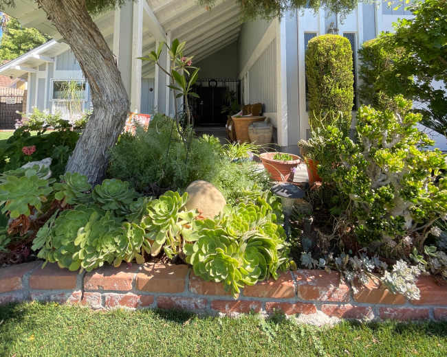 A lush garden with various plants and a tree leads up to a white, covered porch of a house.