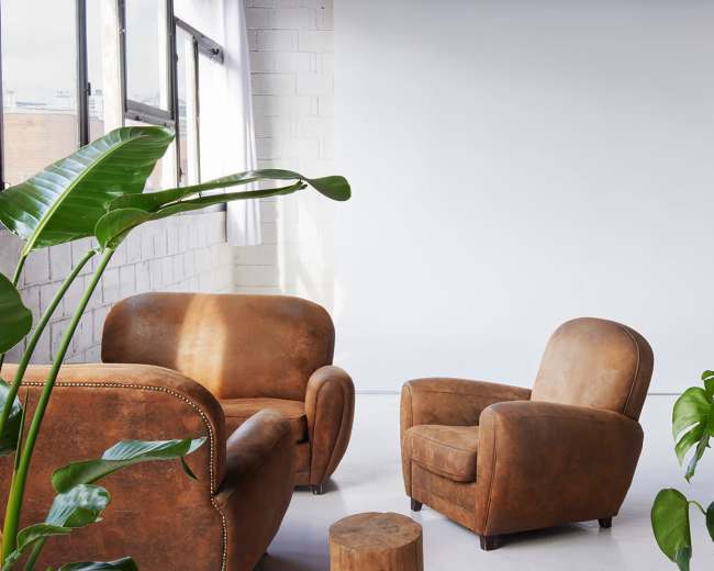 A studio interior features two brown leather chairs, a small wooden stool, and large green plants against a backdrop of light-colored walls and a blank white background.