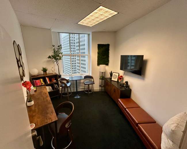 The image shows a small office space featuring a wooden desk with chairs, a wall-mounted television, a window with a city view, and a combination of decorative plants and shelves.