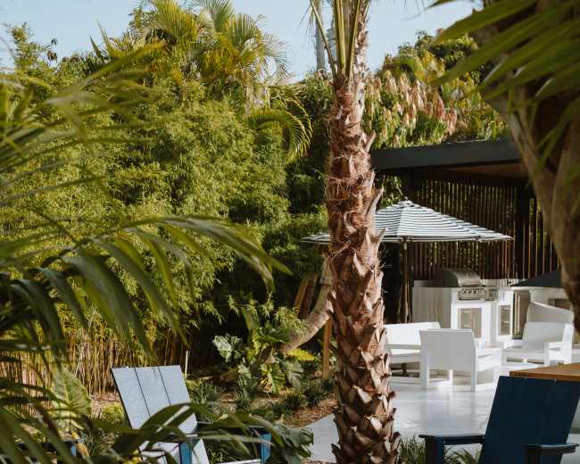 The image shows a serene outdoor space featuring a fire pit surrounded by two blue chairs, with lush tropical plants and a palm tree in the background.