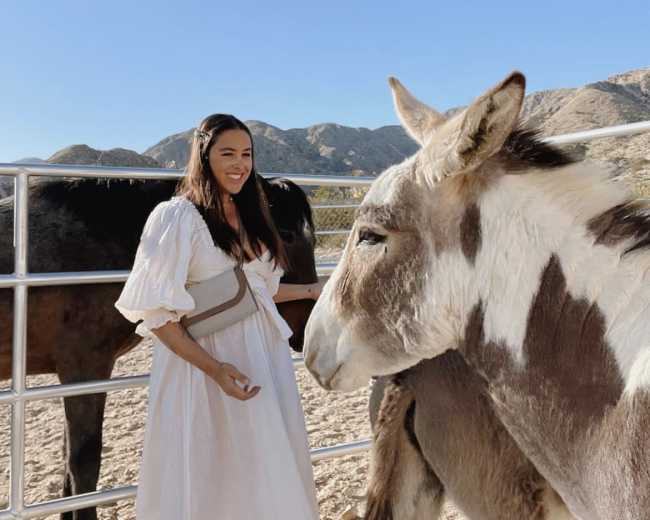 A woman in a white dress stands by a donkey in a pen, with horses and mountains in the background under a clear blue sky.