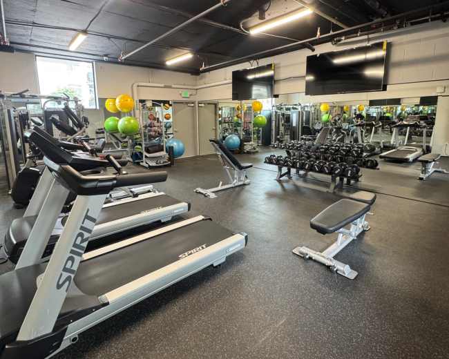 The image shows a gym equipped with treadmills, free weights, and exercise balls, featuring mirrored walls and overhead lighting.