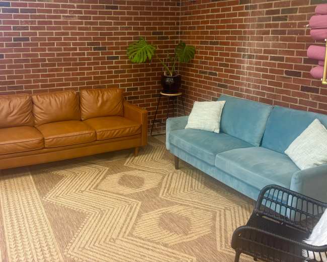 The image shows a room with two couches—a brown leather sofa and a light blue upholstered sofa—arranged on a patterned rug against a brick wall, with plants in the background.