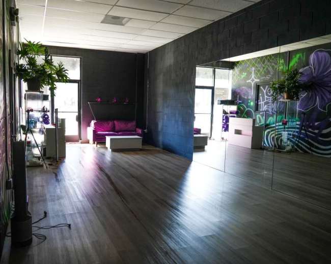 The image shows a spacious room with hardwood flooring, large mirrors on one wall, and vibrant murals featuring plants and abstract designs.