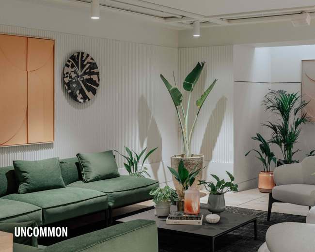 A modern lounge area features green couches, light-colored armchairs, and various indoor plants against a backdrop of textured walls and minimalist art.