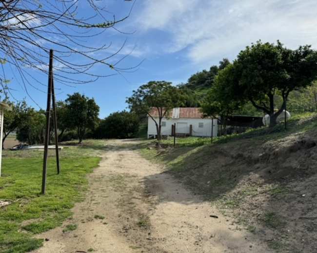 A dirt path leads through a grassy area, lined with trees, to a white building with a red roof in the background.