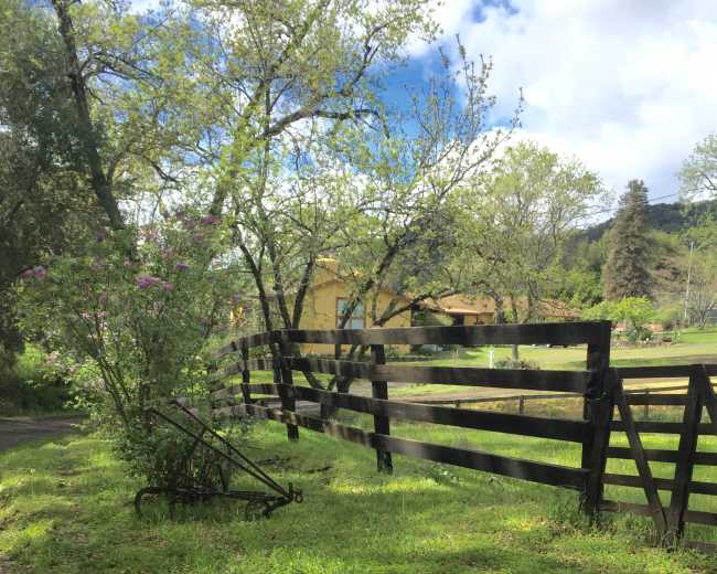 A wooden fence borders a gravel path, with a flowering bush beside it and a house partially visible among trees in the background.