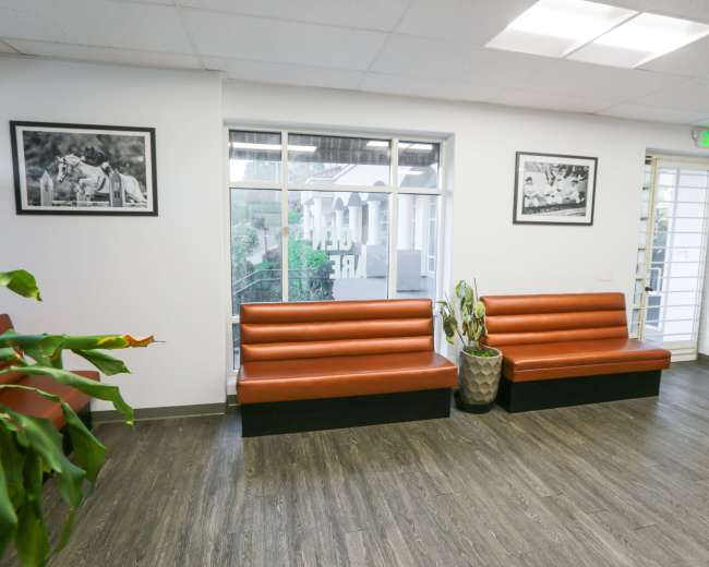 The image shows a modern waiting area with two brown benches, a large window, and potted plants.