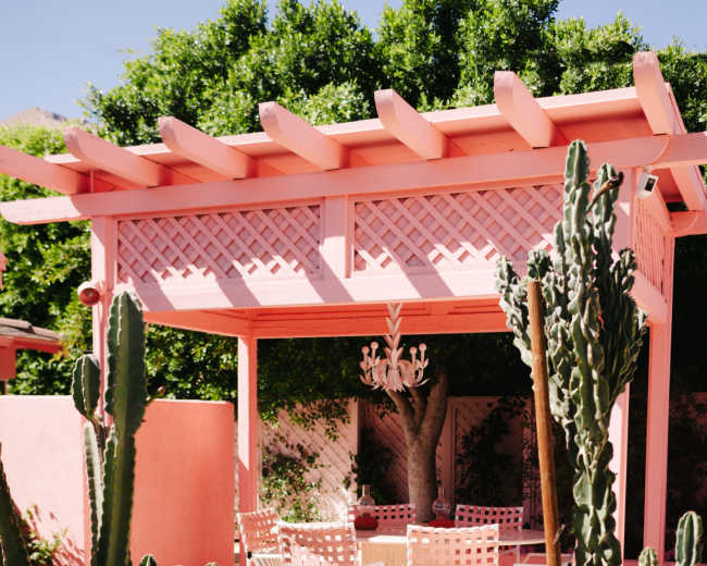 A pink pergola with a seating area is surrounded by various cacti and desert plants in a landscaped yard.