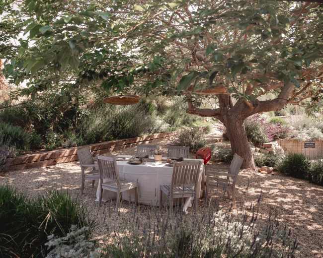 A circular dining table surrounded by wooden chairs is set under a large tree in a garden filled with green plants and lavender.