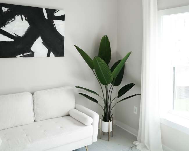 The image shows a light-colored living room with a white sofa, a large black-and-white abstract painting on the wall, and a potted plant in the corner near a window.
