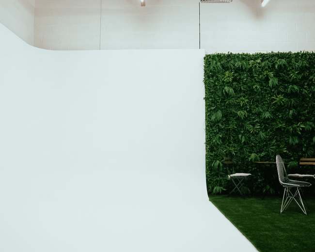 A spacious studio with a large white backdrop on one side and a vertical garden with greenery on the other, accompanied by a simple chair and small table.