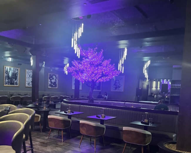 The interior of a restaurant features purple lighting with a glossy floor, wooden tables, and a decorative tree with purple lights at the center.